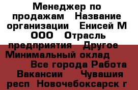 Менеджер по продажам › Название организации ­ Енисей-М, ООО › Отрасль предприятия ­ Другое › Минимальный оклад ­ 100 000 - Все города Работа » Вакансии   . Чувашия респ.,Новочебоксарск г.